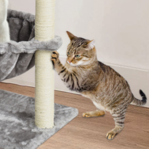 scratching post