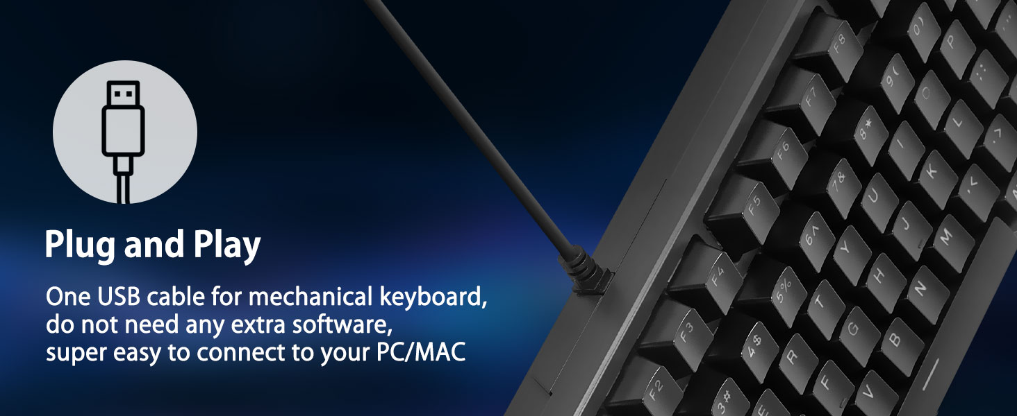 Mechanical keyboard