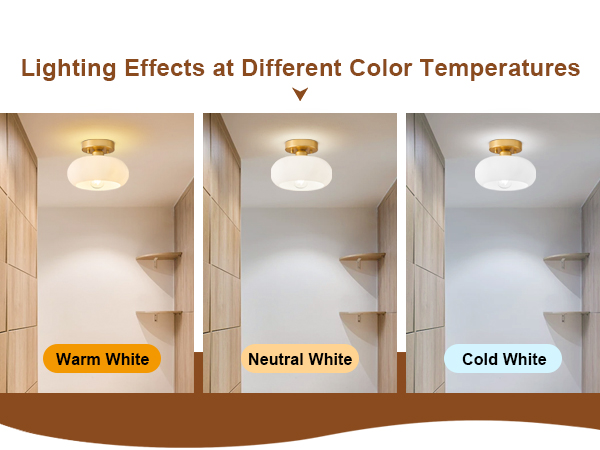  mid century modern ceiling light