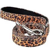 EcoBark Dog Leash - 4 FT / 5 FT / 6 FT Reflective Dog Leash- Eco-Bright Dog Leashes with Padded H...
