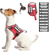 Service Dog Harness and Leash Set, Training Dog Vest with 10 Dog Patches, Emotional Support Thera...