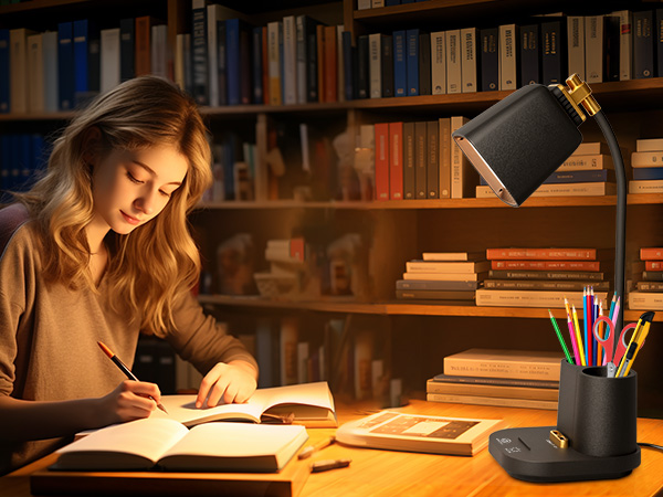 LED Desk Lamp