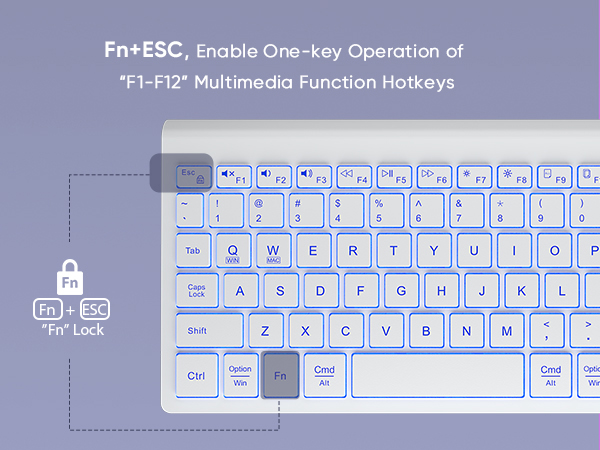 12 shortcut fn lock multimedia function