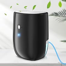 Dehumidifiers for Home