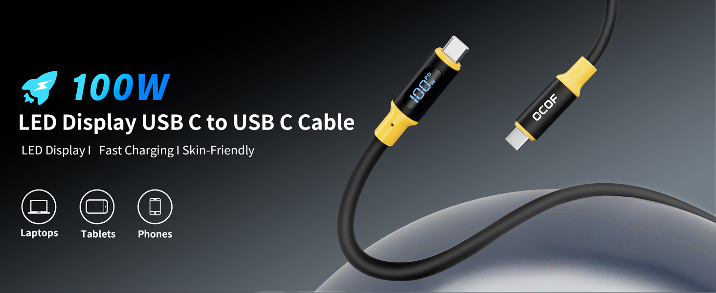 USB C to USB C Cable [4Ft 100W/5A]
