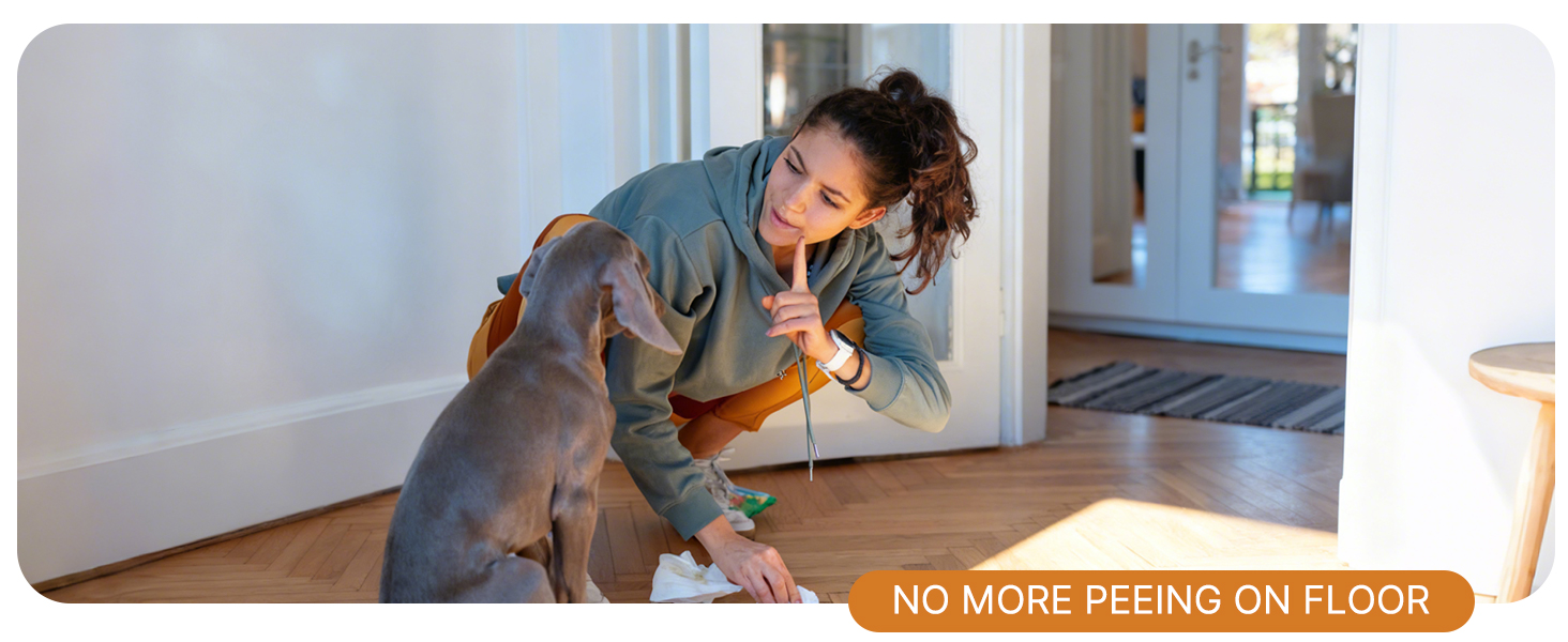 keep your floor clean