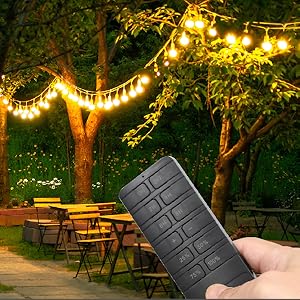 Outdoor dimmer for string lights