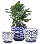 Selamica Ceramic Plant Pots, 4.6+5.6+6.5 Inch Planters with Drainage Holes &amp; Saucer, Flower Pots ...