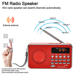 FM Radio Speaker