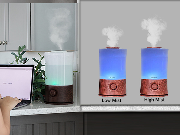 decorations capacity steamer long running hours cleaning water led light colors option adjustable