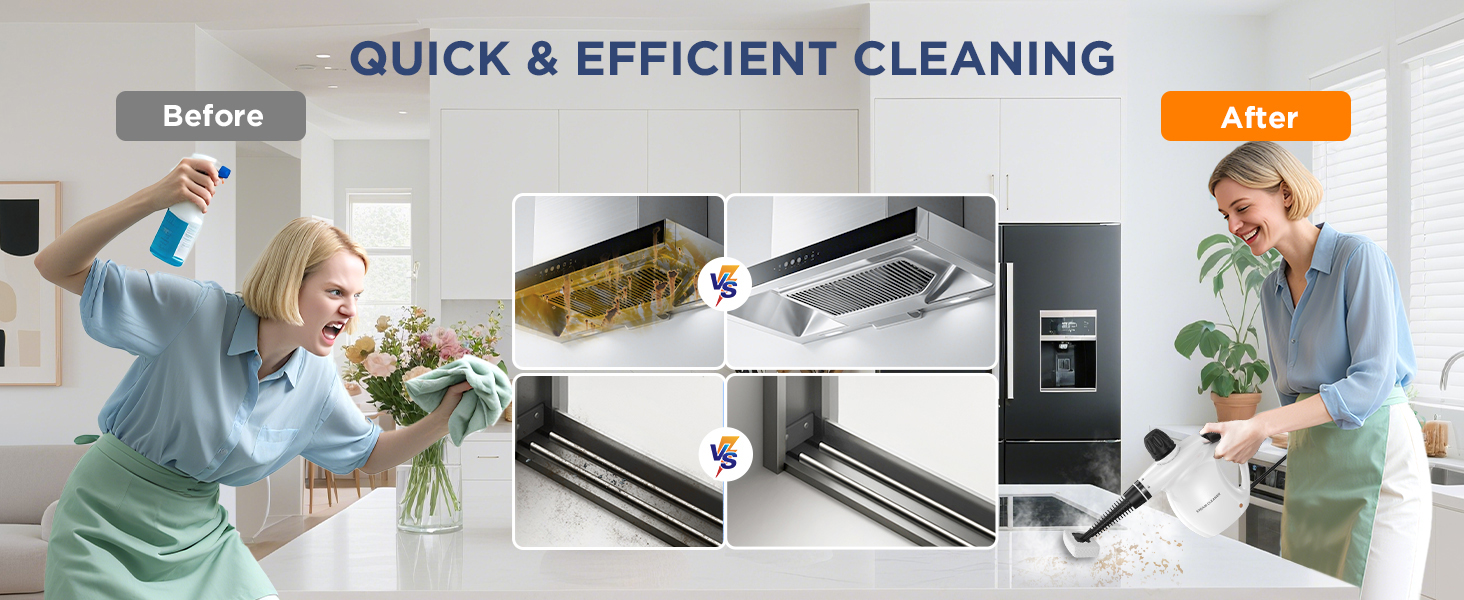 steam cleaner labigo