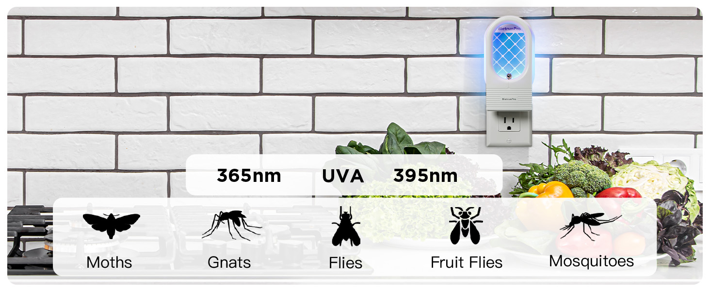 fruit fly traps for indoors gnat traps for house indoor gnat killer indoor fruit fly killer gnats