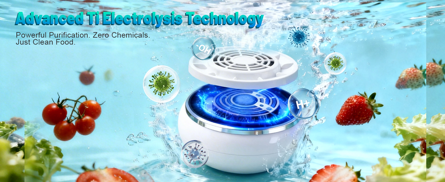 electrolysis fruit washing machine
