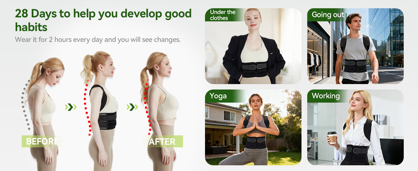 back support belt for men