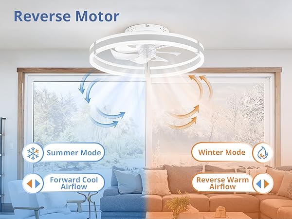 Ceiling Fans with Lights