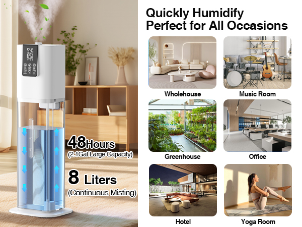 plant humidifier indoor