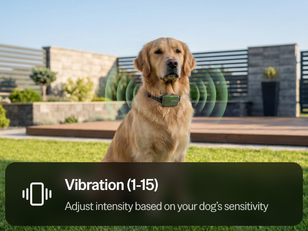 electronic schock small big colors choque waterproof rechargeable pet strong beeper breed barking 