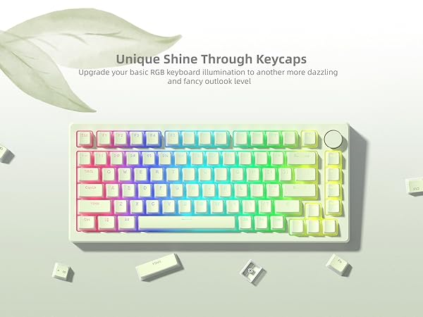Womier Mechanical Keybaord Keycaps Pudding, PBT Cute Keycaps, Shine Through Key Cap