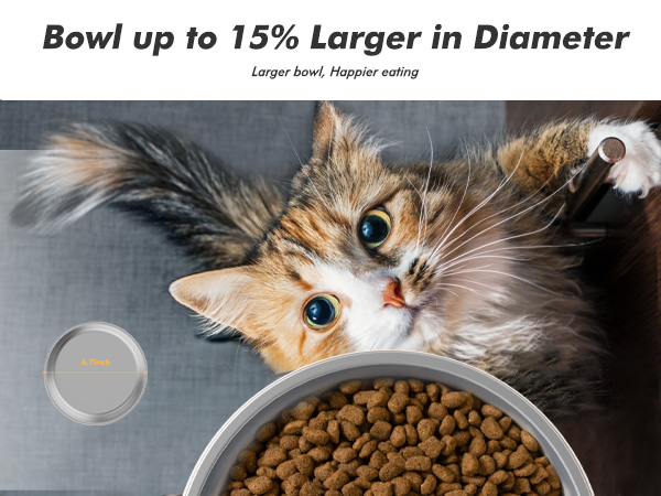 automatic cat feeder