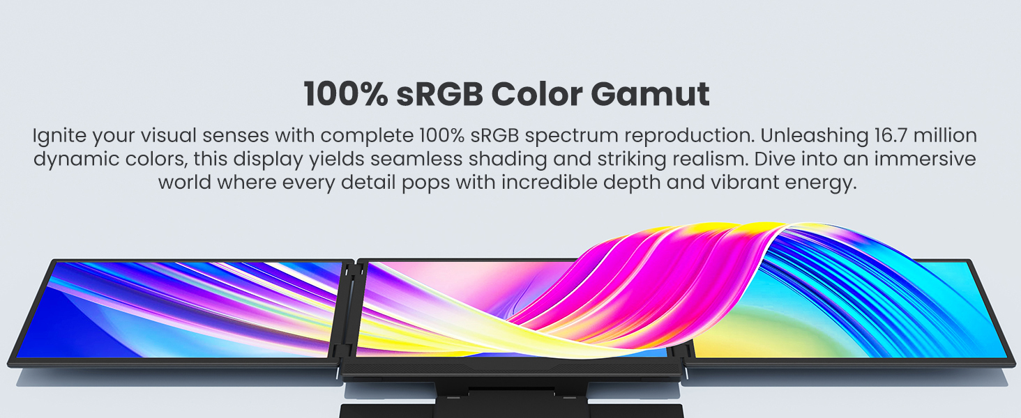 100% sRGB Color Gamut