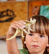 ArtSkills Epic Lab Dinosaur Fossil Digging Kit for Kids, Dinosaur Excavation Dig Kit with Dino Fo...