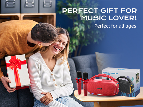 Karaoke Machine for Adults 