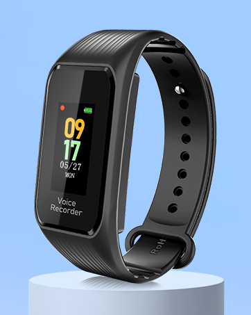 voice recorder with playback