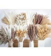 650PCS Natural Dried Pampas Grass Boho Home Decor Bouquet Phragmites Dried Flowers Bouquet for We...