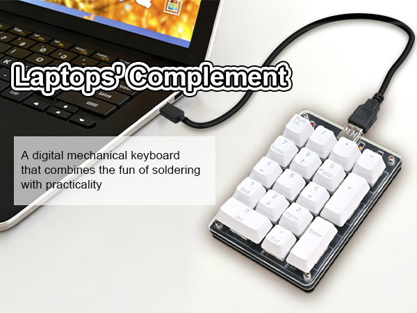 Laptops' Complement