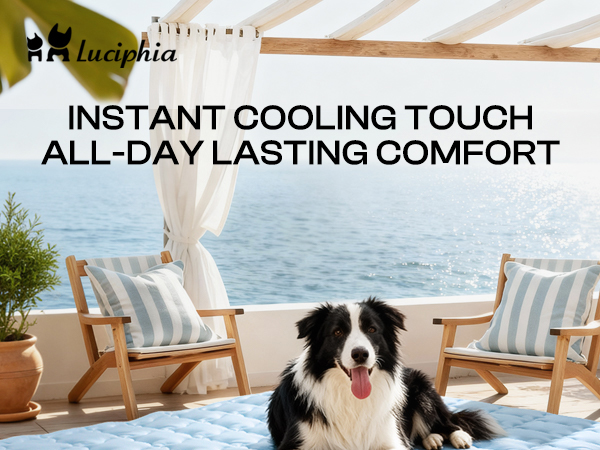 dog cooling mat