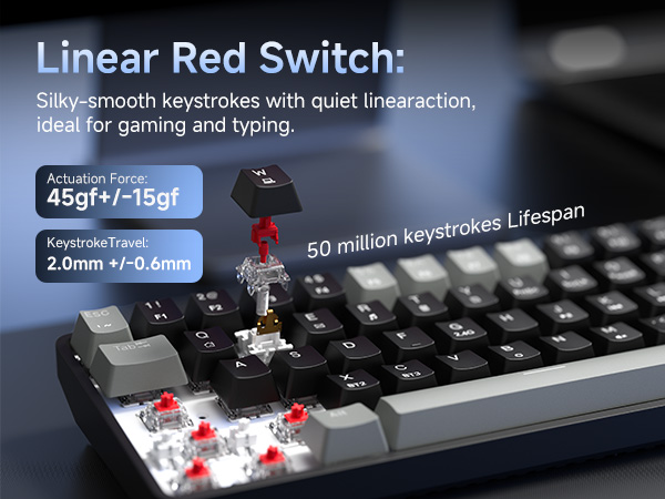 Text reads 'Linear Red Switch: Silky-smooth keystrokes with quiet linearaction, ideal for gaming and typing' '45gf+-15gf' '2.0mm +/-0.2mm' '50 million keystrokes Lifespan'. Close-up of mechanical keyboard switches.