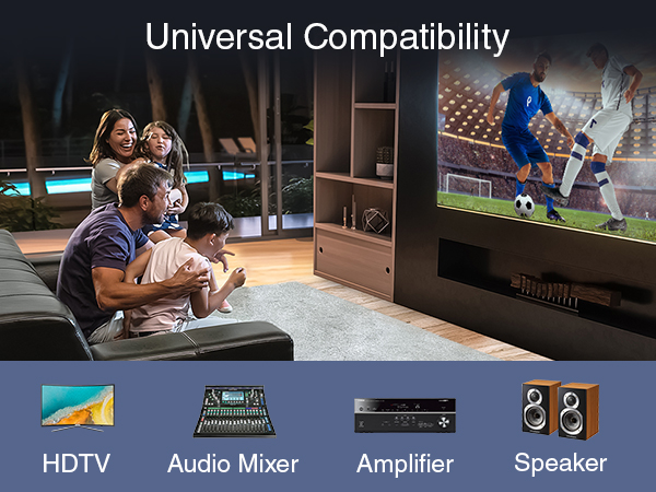 BLUERIGGER universal compatibility HDTV audio mixer subwoofer soundbar amp speaker phono turntable