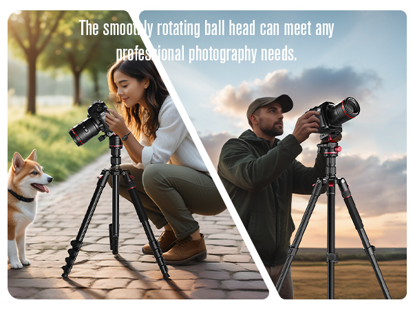 Professional photography tripod