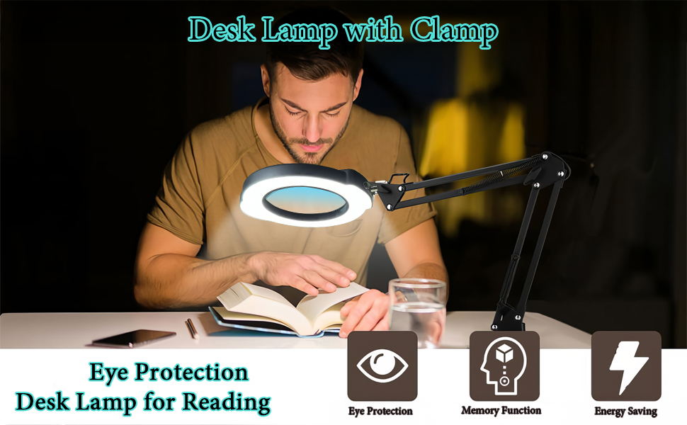 Desk Lamp with Clamp