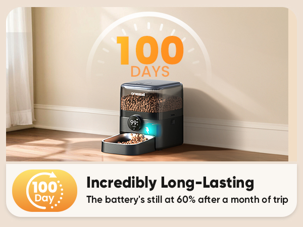 cat food dispenser automatic