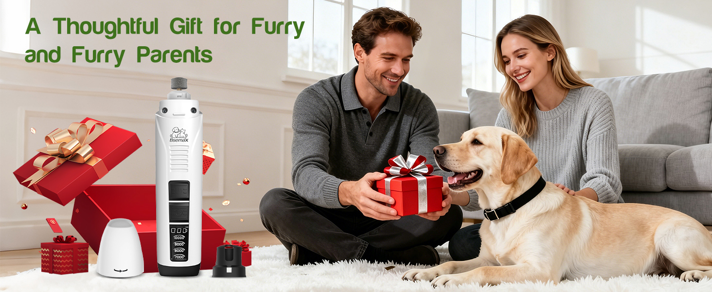 pet gift