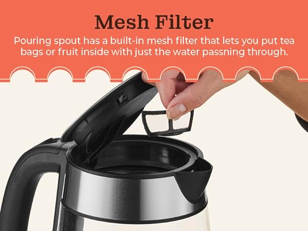 mesh filter