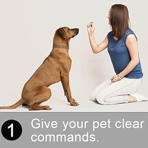 silicone dog treat pouch for training treat bag dog training treat pouch treat bag for dog training