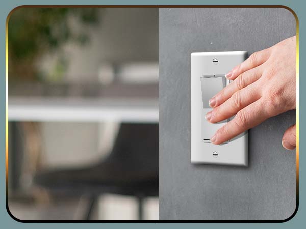 Friendly Large Paddle Switch