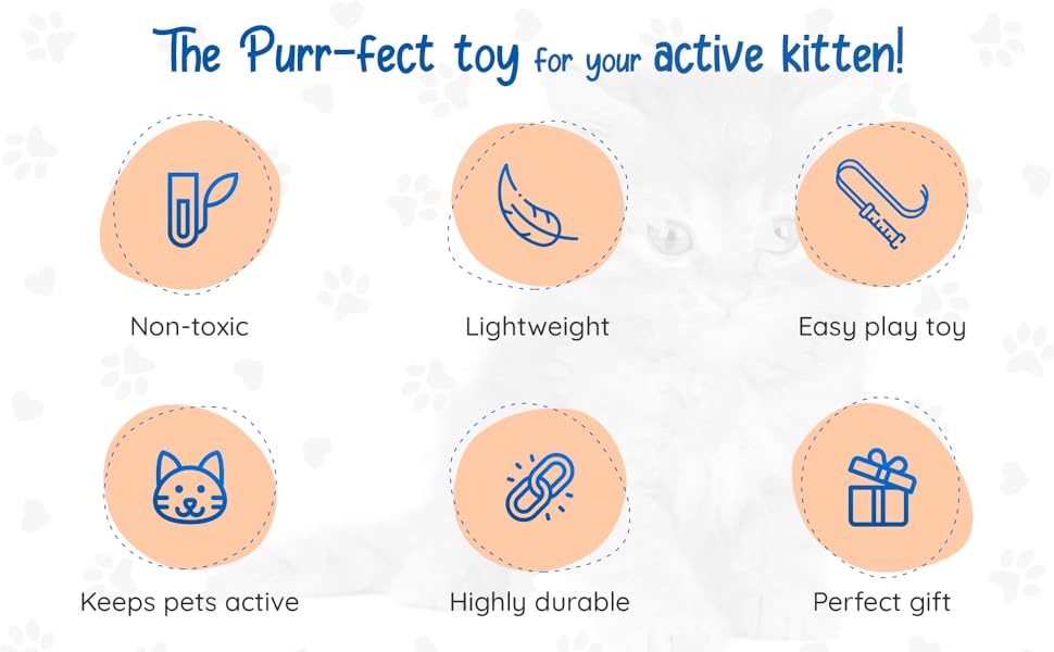 Interactive cat toy