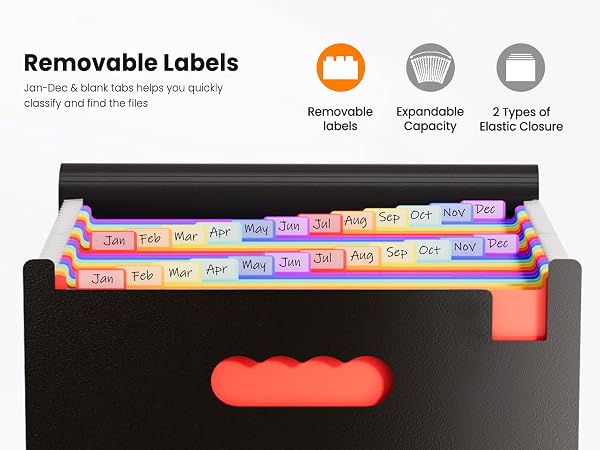File Organizer