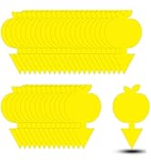 36PCS Fruit Fly Sticky Traps Fungus Gnat Traps Insect Trap for Plants Kitchen Indoor Outdoor Whit...