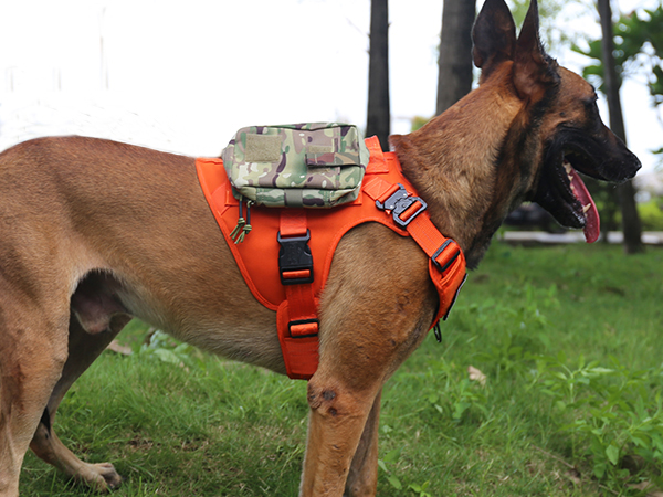 dog harness orange