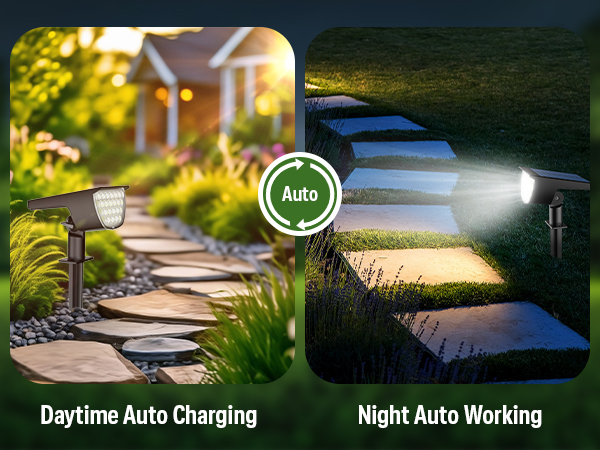 solar lights outdoor-2