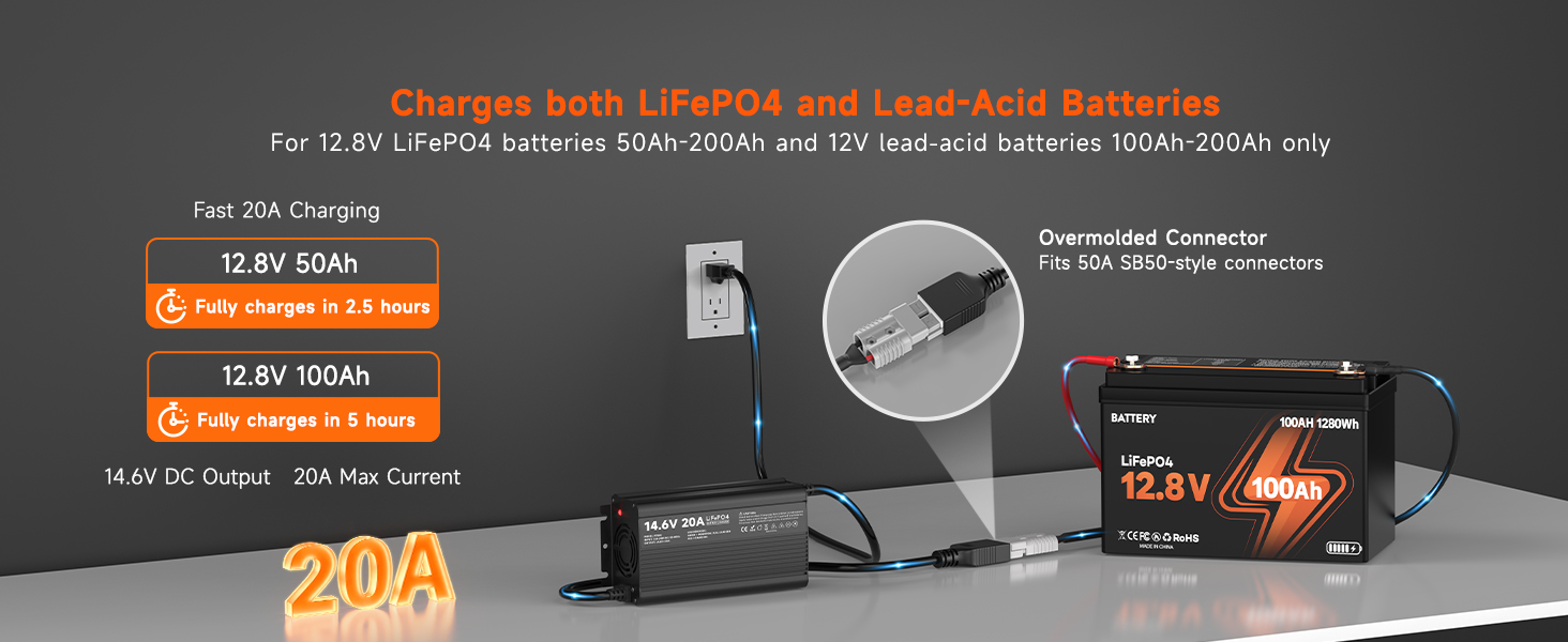YZPOWER 12V 20A Lithium Battery Charger