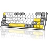 60% Mechanical Gaming Keyboard, 68 Keys Hot-Swappable Compact Blue LED Backlit Gaming Keyboard, M...