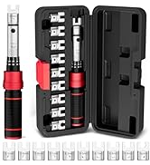 VANPO Spoke Torque Wrench 10–60 in-lb, 1/4" Drive Small Torque Wrench Kit with 9 Spoke Wrench Hea...