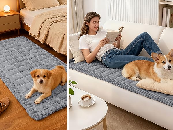 Couch Covers for Dogs Washable