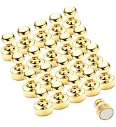 Fridge Magnet, 20Pcs Blonde Refrigerator Magnets, Small and Strong Magnets for Whiteboard, Office...