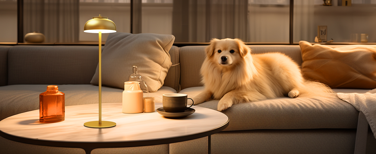 cordless table lamp for home living room